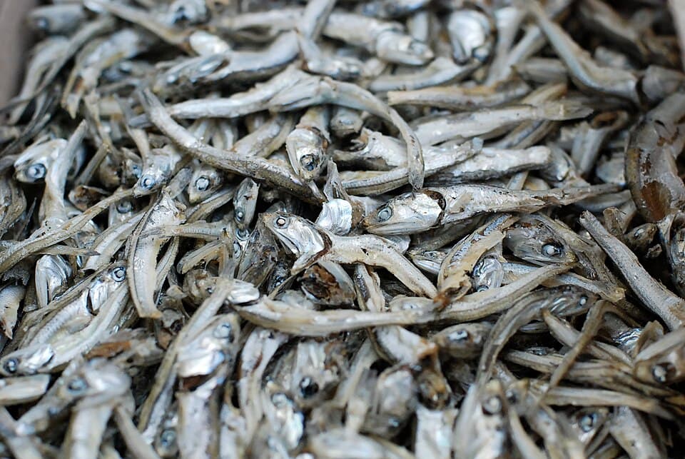 Cá chỉ vàng khô