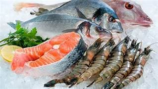 Sashimi